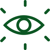 Age related Vision Loss?