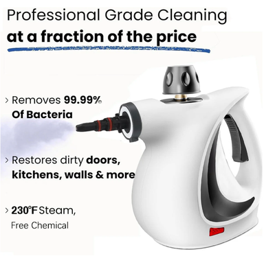SoftSteam Pro