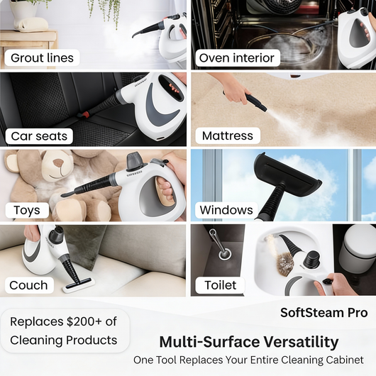 SoftSteam Pro